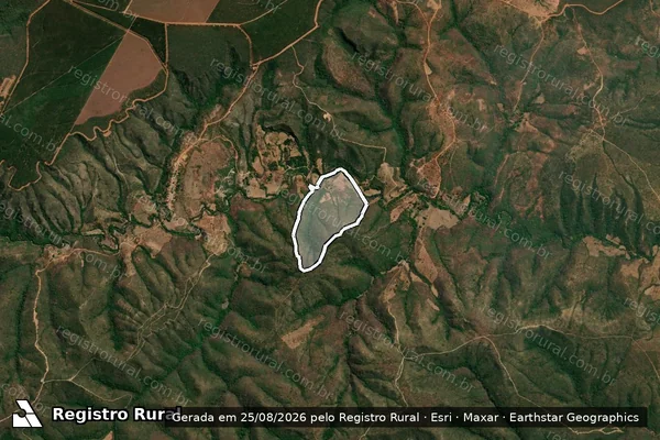 Imagem de satélite de Fazenda Pimenta / Parte 1
