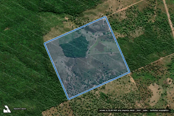 Imagem de satélite de FAZENDA PRIMAVERA - Parcela 1 em Governador Archer - MA