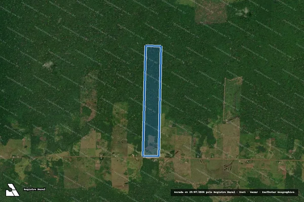 Imagem de satélite de P.A. CURUPIRA_Lote 131_TD-RR000300002420/2005 - Única em Rorainópolis - RR