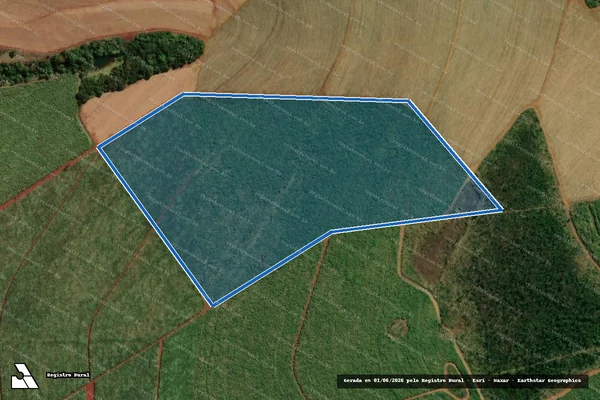 Imagem de satélite de FAZENDA SANTO INÁCIO - Única em Conceição das Alagoas - MG
