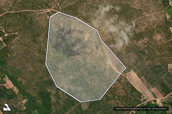 Imagem de satélite de PAU D?ARCO - PAU D?ARCO em Baixa Grande do Ribeiro - PI
