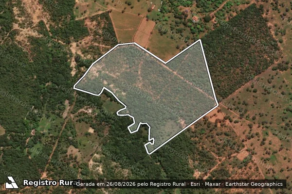 Imagem de satélite de FAZENDA MANGUES - Parcela 1 em Arinos - MG