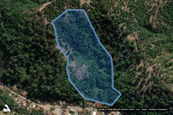 Imagem de satélite de FAZENDA PEDRA CORRIDA E OUTROS - Gleba 03_A1 ? M - Parte 1 em Periquito - MG