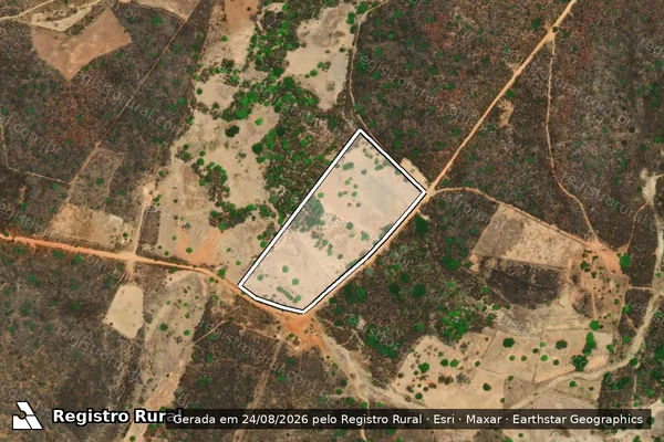Imagem de satélite de FAZENDA POÇO DE PEDRA I - Gleba 1 em Avelino Lopes - PI