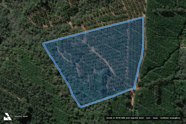 Imagem de satélite de Fazenda Shalom II - Mat 4520 em Tibagi - PR