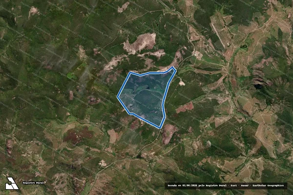 Imagem de satélite de FAZENDA BELO VALE DAS TRÊS LAGOAS - FAZENDA BELO VALE DAS TRÊS LAGOAS em Medina - MG
