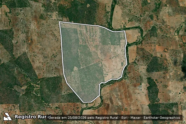 Imagem de satélite de FAZENDA MUQUÉM - Parte 1 em Quijingue - BA