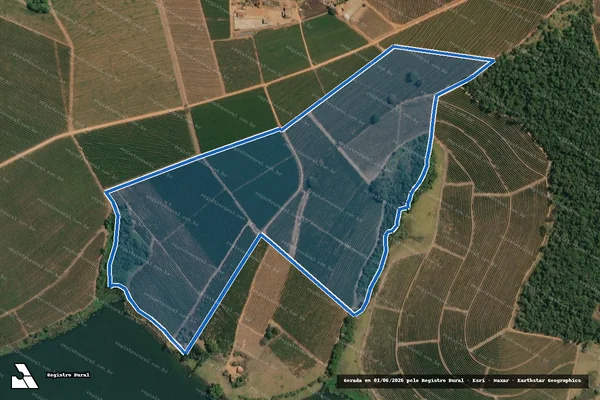 Imagem de satélite de SITIO CORREGO DAS PALMEIRAS - Sitio Corrego das Palmeiras em Campos Gerais - MG