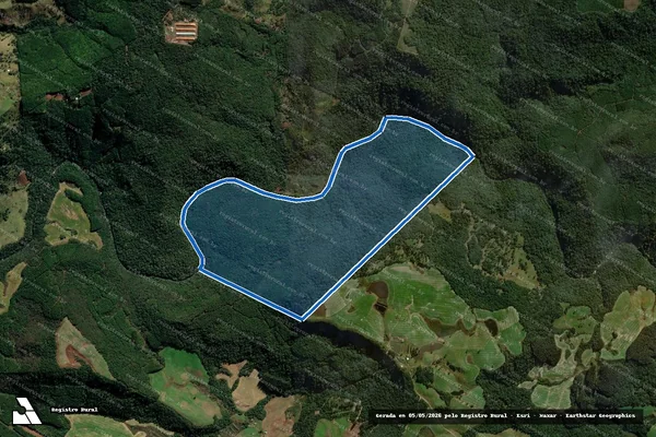 Imagem de satélite de Fazenda Toldinho em Concórdia - SC