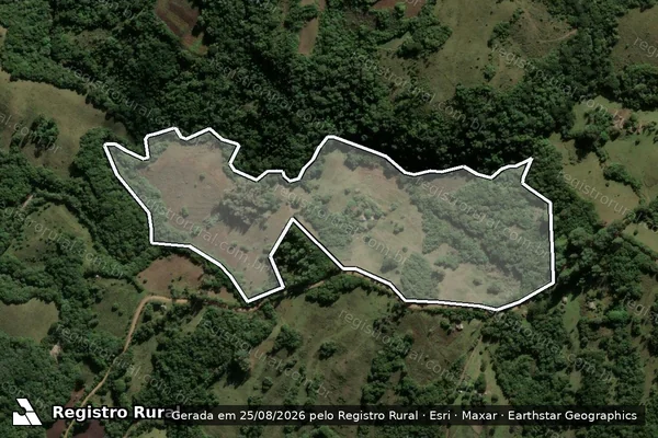 Imagem de satélite de CAMPO DOS LOPES - Parte 1 em Santana da Boa Vista - RS