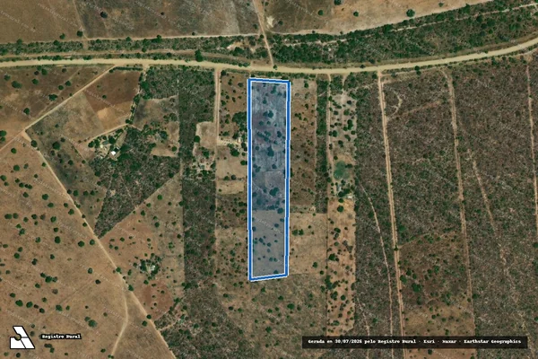 Imagem de satélite de FAZENDA ALAGAMAR - Gleba F em Alvorada do Norte - GO
