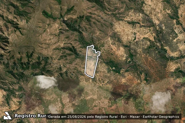 Imagem de satélite de FAZENDA SÃO VICENTE DA DIREITA ? LOTE ? 40 - Gleba 40 em Buritis - MG