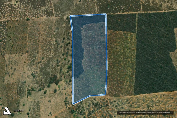Imagem de satélite de FAZENDA BOA SORTE - 03 em Brejolândia - BA