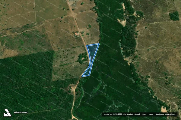 Imagem de satélite de P.A RIO BONITO / FAZENDA SÃO VICENTE / LOTE 319 - PARCELA 01 em Bom Jesus das Selvas - MA