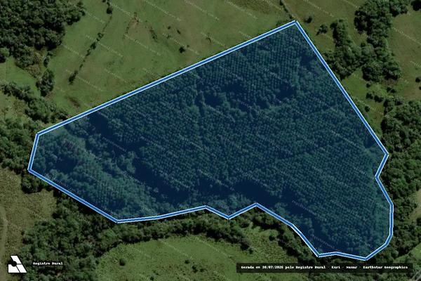 Imagem de satélite de FAZENDA SANTA CATARINA-02 - AREA-3 em Piratini - RS