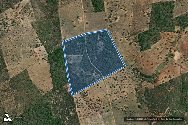 Imagem de satélite de FAZENDA CURAÇA LAGOA DO SANTIAGO - Parcela 1 em Ruy Barbosa - BA