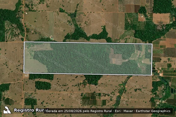 Imagem de satélite de LOTE 26, GLEBA 09, P.I.C. GY-PARANÁ, SETOR GY-PARANÁ - Parte 1 em Cacoal - RO