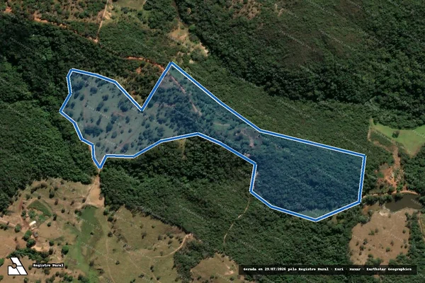 Imagem de satélite de Lote 21 - Projeto de Assentamento Roseli Nunes - Parte 1 em Pequi - MG