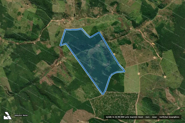 Imagem de satélite de FAZENDA CUJUBEIRA - Única em Marajá do Sena - MA
