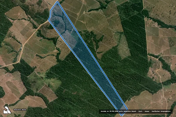 Imagem de satélite de LOTE 44 em Cotriguaçu - MT