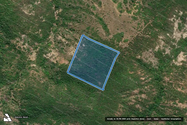 Imagem de satélite de FAZENDA RIACHO DOCE - GLEBA 04 em Conselheiro Pena - MG
