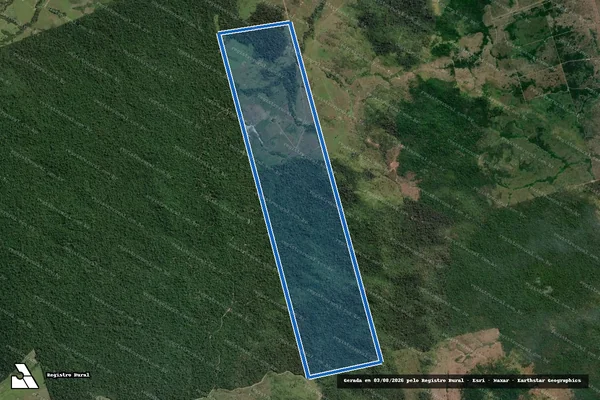 Imagem de satélite de Fazenda São Domingos  - Parte 1 em Altamira - PA