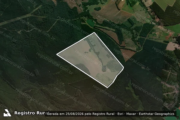 Imagem de satélite de FAZENDA PINDORAMA MAT-5560 - PINDORAMA em Curiúva - PR