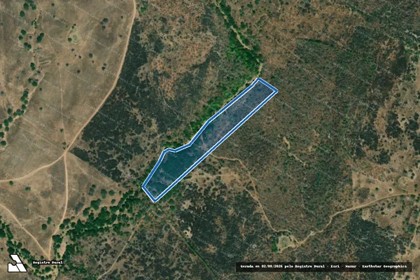Imagem de satélite de FAZENDA LAGOA DO CEDRO - Parte 2 em Estrela de Alagoas - AL