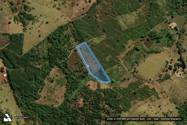 Imagem de satélite de FAZENDA LAGOA FORMOSA - Parte 17 em Anápolis - GO
