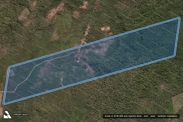 Imagem de satélite de São Bernado  - Parte 1 em Codó - MA