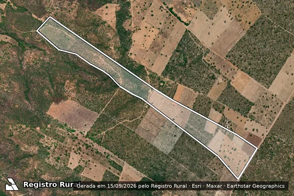 Imagem de satélite de FAZENDA PIQUIZEIRO GROSSO - Parte 1 em Sebastião Leal - PI