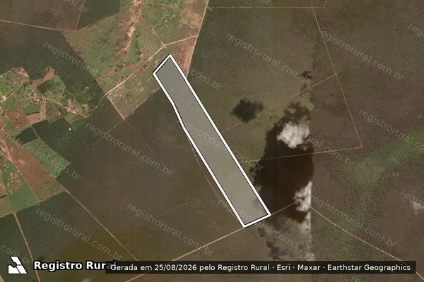 Imagem de satélite de FAZENDA SALOBRO - Parte 1 em Riachão das Neves - BA