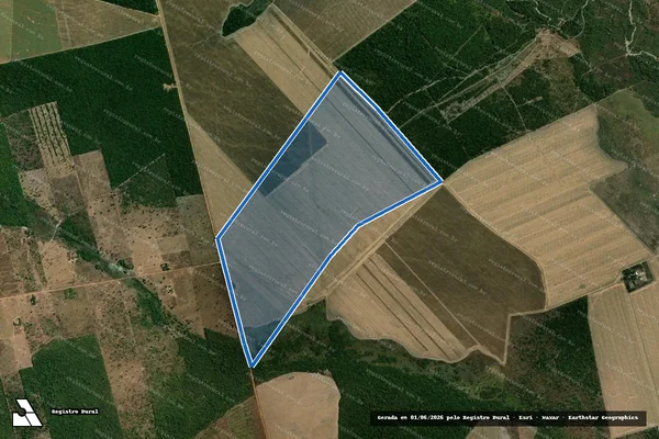Imagem de satélite de FAZENDA ENTRE RIOS - 001 em Santana do Araguaia - PA