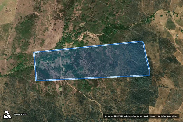 Imagem de satélite de FAZENDA JOÃO GOMES - LOTE 5 em Bom Conselho - PE