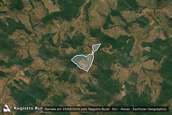 Imagem de satélite de FAZENDA JAPÃO - Gleba 01 em Coluna - MG