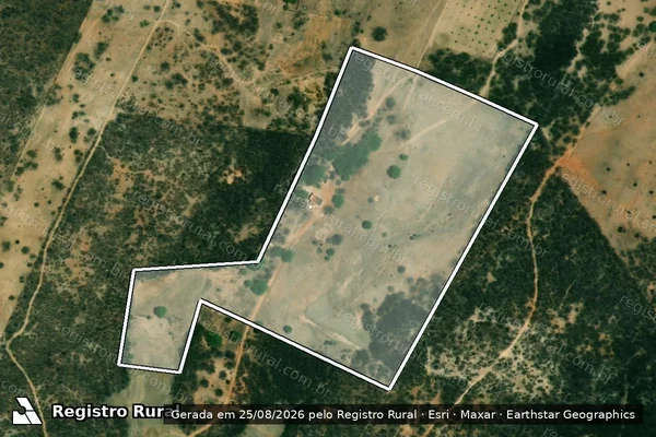 Imagem de satélite de SITIO BISPADO ? LOTE 0206 - Parte 1 em Potiretama - CE