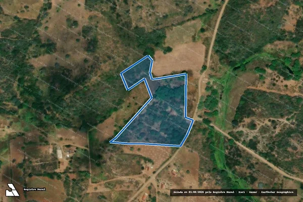 Imagem de satélite de SITIO CATOLE - Parte 1 em Queimadas - PB