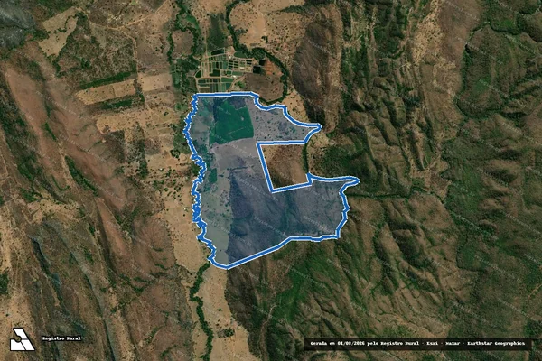 Imagem de satélite de FAZENDA MALTIZARIA DENOMINADA SALOBRÃO - PARTE - Parcela 1 em Formosa - GO