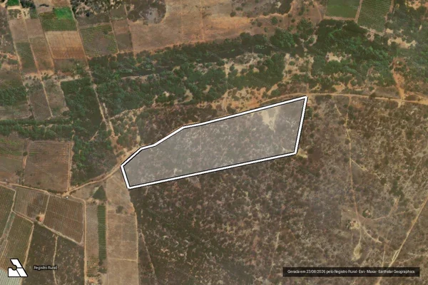 Imagem de satélite de SITIO BELA VISTA ? GLEBA 2 - RESERVA LEGAL em Petrolina - PE