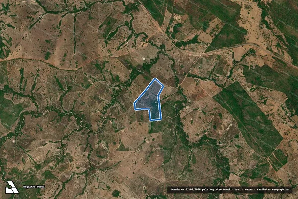 Imagem de satélite de FAZENDA PEDRA PRETA POÇÃO OU VEREDÃO - SÃO JOÃO - GLEBA 01 em Crixás - GO