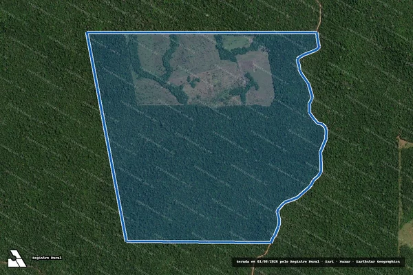 Imagem de satélite de Fazenda Niizu I - Parte I em Colniza - MT