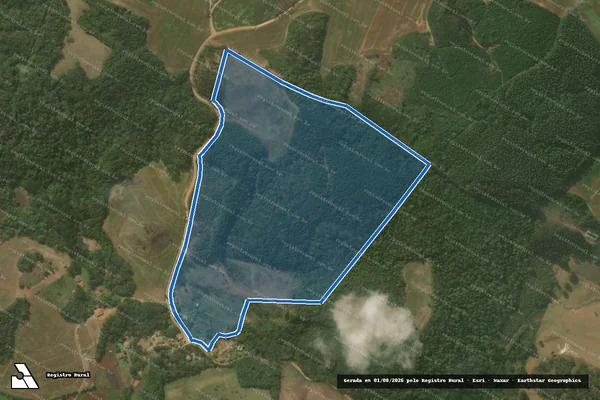 Imagem de satélite de Chacara de Paina - Parcela 1 em Campo Magro - PR