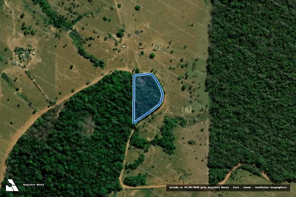 Imagem de satélite de LOTE 07 - GLEBA 14 - P.A.D. BURAREIRO - Parte 3 em Cacaulândia - RO