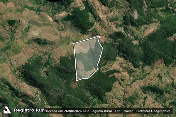 Imagem de satélite de FAZENDA PIMENTEIRA - FAZENDA PIMENTEIRA em Novo Oriente de Minas - MG