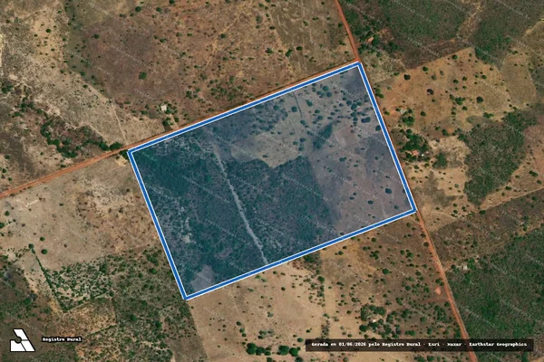 Imagem de satélite de LOTE ? 73 - PA CANAÃ - LOTE ? 73 - PA CANAÃ em Flores de Goiás - GO