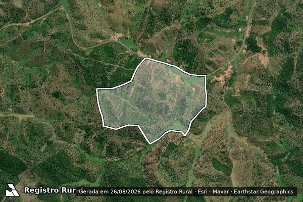 Imagem de satélite de FAZENDA SAO RAIMUNDO - PARTE 01 em Paulo Ramos - MA