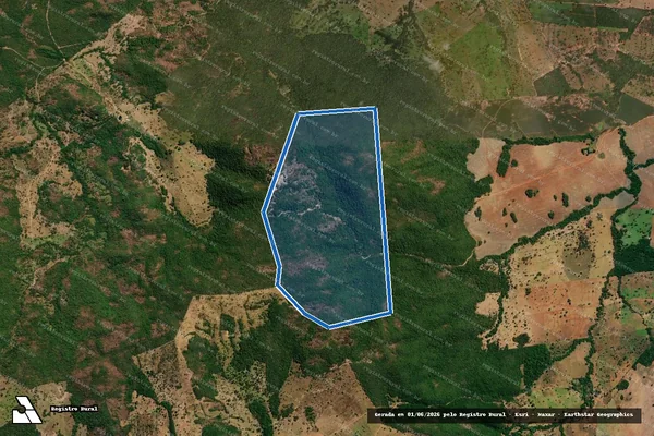 Imagem de satélite de FAZENDA GUARDAMOR E CAMPIM BRANCO - 001 em Jaupaci - GO