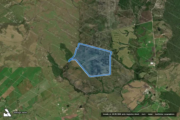 Imagem de satélite de FAZENDA HELENINHA - MATRICULA 17985 em Palmeira - PR