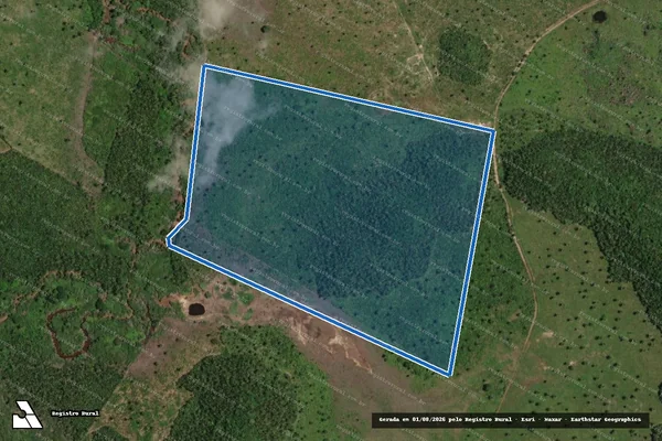 Imagem de satélite de Fazenda Macaúba II - Parcela 1 em Peritoró - MA