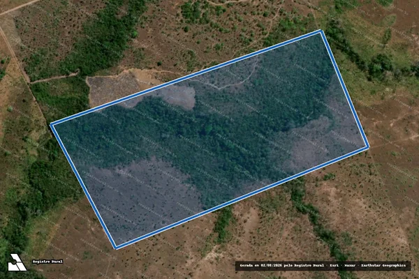 Imagem de satélite de FAZENDA DOIS IRMÃOS - Parcela 1 em Floresta do Araguaia - PA